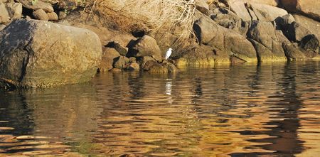 late afternoon golden light on rocks and sea  の写真素材