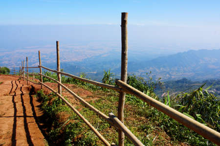 bamboo fence の写真素材