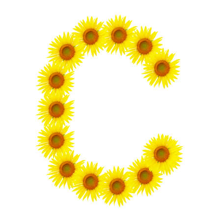 Yellow sunflowers alphabet Cの写真素材