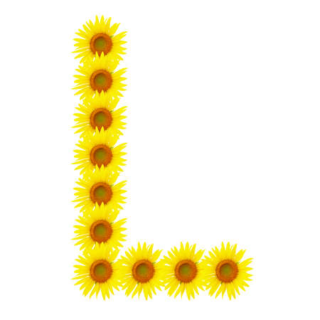 Yellow sunflowers alphabet Lの写真素材
