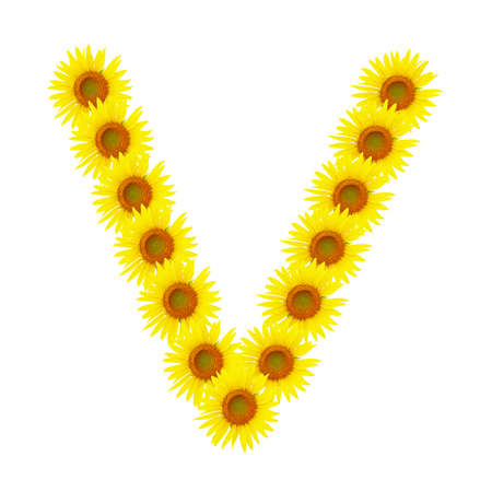 Yellow sunflowers alphabet Vの写真素材