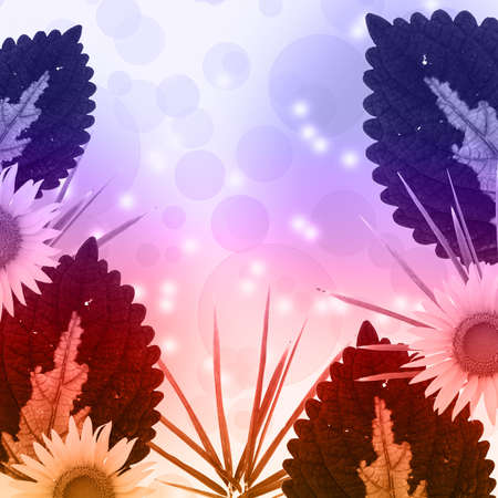 Colorful Flower,leaf and bokeh backgroundの写真素材