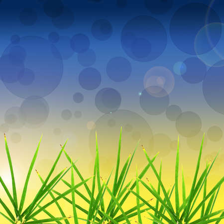 Leaf and bokeh backgroundの写真素材