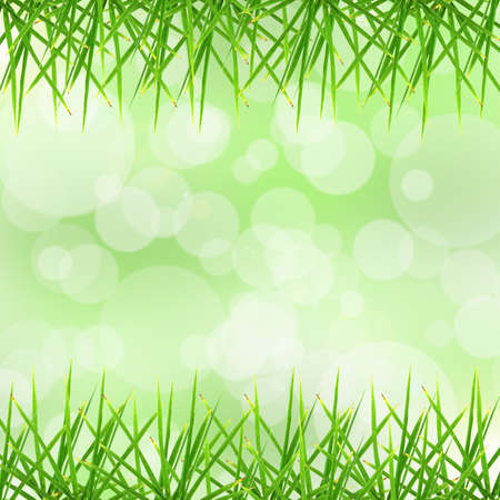 Leaf and bokeh backgroundの写真素材