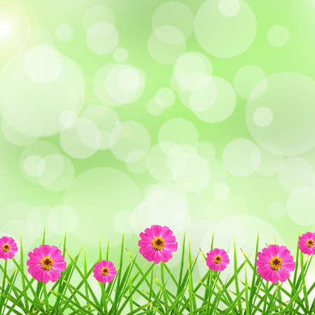 Leaf , Flower and bokeh backgroundの写真素材