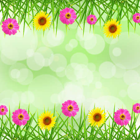 Leaf , Flower and bokeh backgroundの写真素材