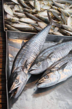 Fresh fish on ice in the marketの写真素材