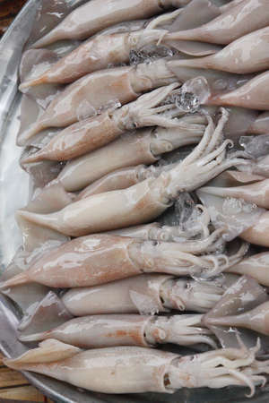 Fresh squid in the marketの写真素材
