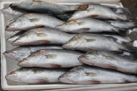 Fresh fish on ice in the marketの写真素材