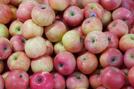 Fresh red apples in the marketの写真素材