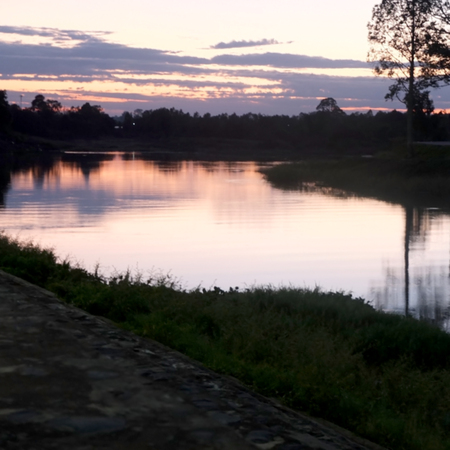 Blurred nature backgroundの写真素材