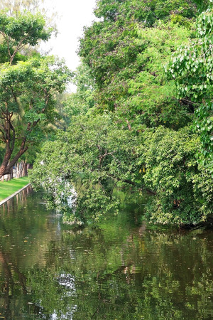 Nature wallpaperの写真素材