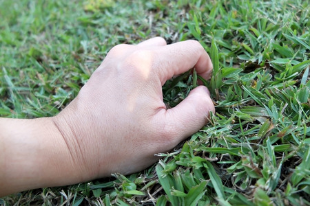 Hand touch the grass : Environmentalist conceptの写真素材