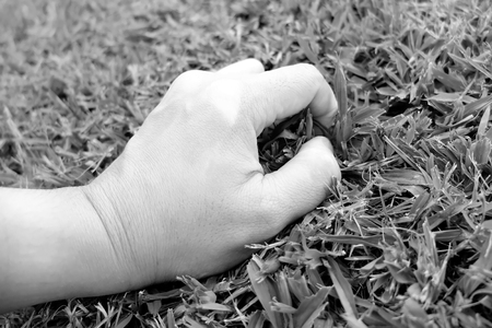 Hand touch the grass : Environmentalist conceptの写真素材