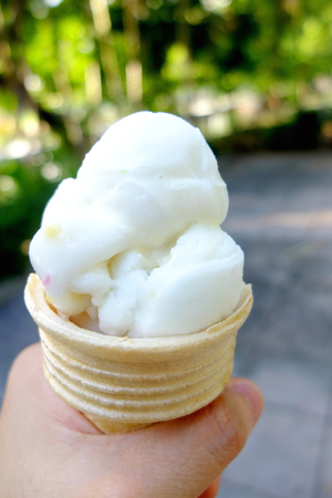 Ice creamの写真素材