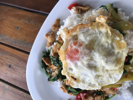 Stir-fried pork with basil and fried egg, Thai foodの写真素材