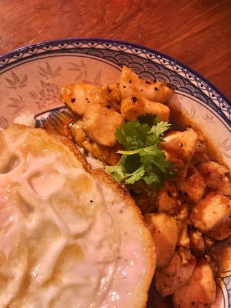 Fried chicken in sweet and sour sauce with fried egg on plateの写真素材