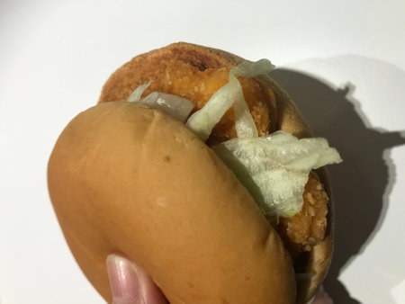 Burger with onion on a white background.の写真素材