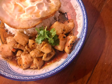 Rice topped with stir-fried chicken and sweet and sour sauceの写真素材