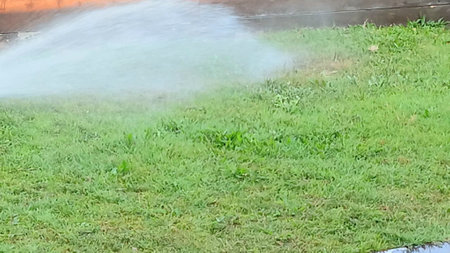 Blurred Water Spread on The Grassの写真素材