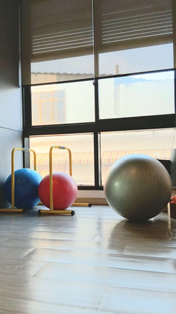 Fit Balls at The Gym