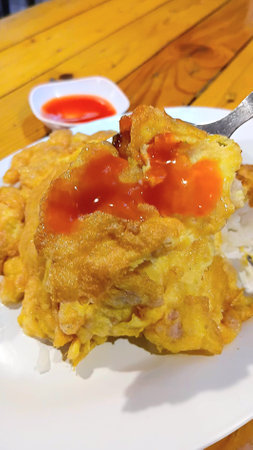 Minced Pork Omelette with Riceの写真素材