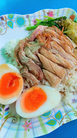 Stewed Pork Leg on Rice Recipeの写真素材