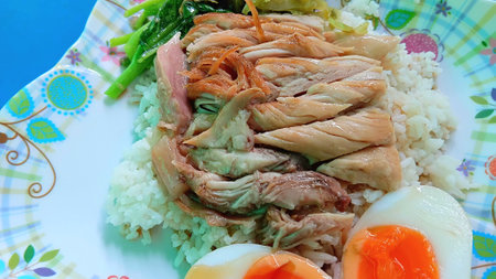 Stewed Pork Leg on Rice Recipeの写真素材
