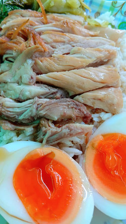 Stewed Pork Leg on Rice Recipeの写真素材