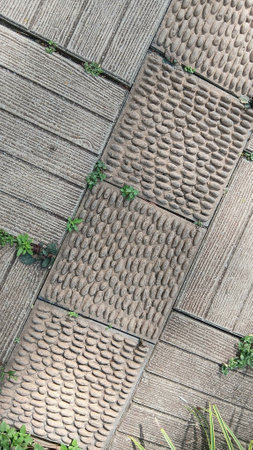 Floor Design at The Gardenの写真素材