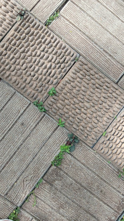 Floor Design at The Gardenの写真素材