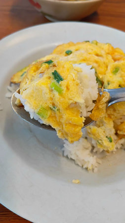 Vegetable Omelet Recipeの写真素材