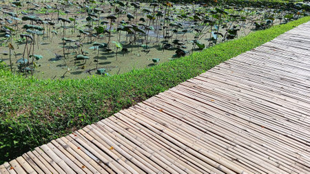 Nature View at The Gardenの写真素材
