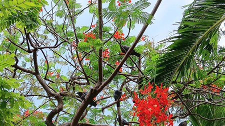 Tree and Bird at The Gardenの写真素材