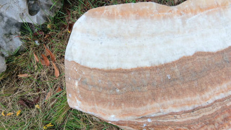 Big Stone at The Gardenの写真素材