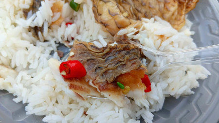 Fried Fish on Rice Recipeの写真素材