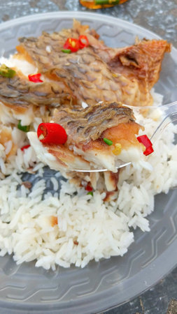 Fried Fish on Rice Recipeの写真素材