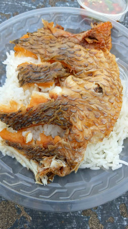 Fried Fish on Rice Recipeの写真素材