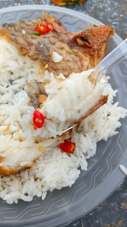 Fried Fish on Rice Recipeの写真素材