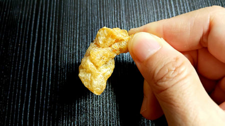 Crispy Pork Rinds on Handの写真素材