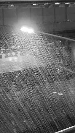 Blurred Rain and Traffic View as Black and White Backgroundの写真素材