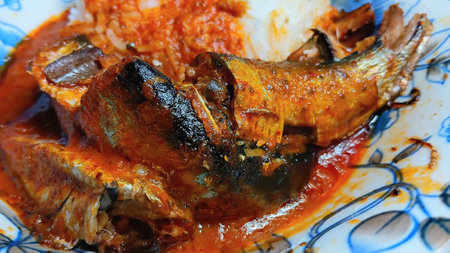 Canned Mackerel Fish in Tomato Sauce and Riceの写真素材