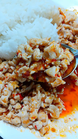 Stir Fried Chicken with Red Curry Paste Recipeの写真素材