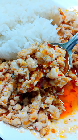 Stir Fried Chicken with Red Curry Paste Recipeの写真素材