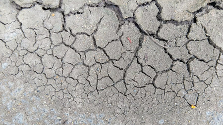 Cracked Soil Texture at The Gardenの写真素材