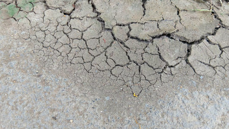 Cracked Soil Texture at The Gardenの写真素材