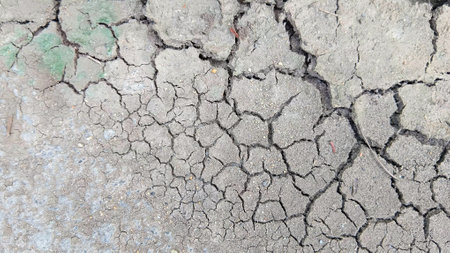 Cracked Soil Texture at The Gardenの写真素材