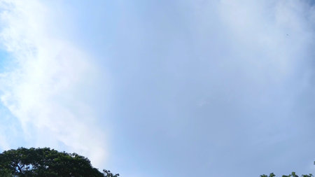 Beautiful Sky and Trees Viewの写真素材