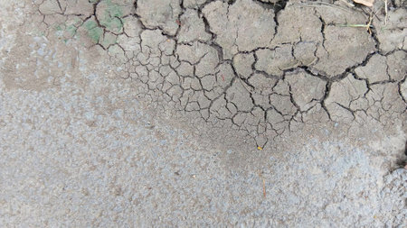 Cracked Soil Texture at The Gardenの写真素材