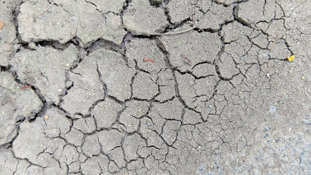 Cracked Soil Texture at The Gardenの写真素材